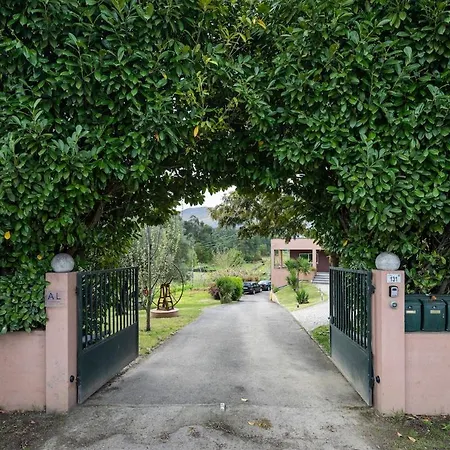 Casa Carvalho De Bouca, Moreira Moncao Lägenhet Cortinhas
