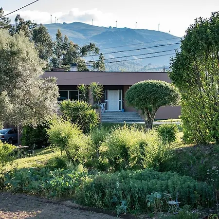 Casa Carvalho De Bouca, Moreira Moncao Lägenhet Cortinhas