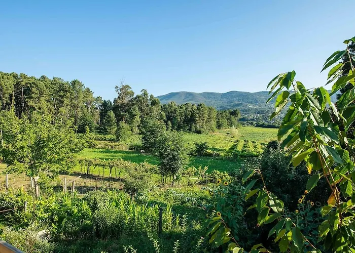Casa Carvalho De Bouca, Moreira Moncao شقة *